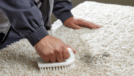 Professional Rug Cleaning Point Lonsdale